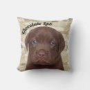 Search for chocolate lab pillows Pets