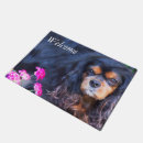 Search for cavalier king charles spaniel doormats Photography