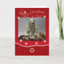 Search for polar bear christmas cards Merry