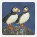 Search for puffin crafts party Pair