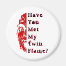 Search for mirror magnets Humor