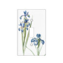 Search for iris flower gifts Botanical