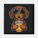 Search for dachshund magnets Valentine
