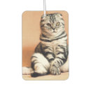 Search for cool car air fresheners Funny