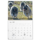 Search for keeshond gifts Puppies