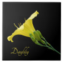 Search for daylily Garden