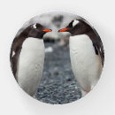 Search for penguin desk accessories Ice