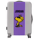 Search for cool luggage Charlie brown