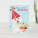 Search for westie birthday cards West highland white terrier