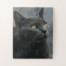 Search for grey cat puzzles Kids
