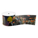Search for fish ribbon Coral reef