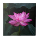 Search for lotus flower tiles Water lily