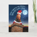 Search for funny chicken christmas cards Country