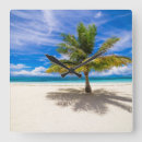 Search for tropical clocks Dominican republic