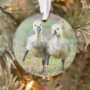 Search for goose ornaments animal