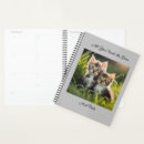 Search for cute cat planners Kittens