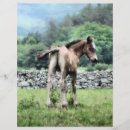 Search for horse flyers Ponies
