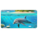 Search for dolphin license plates Ocean