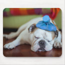 Search for bulldog mousepads Cute