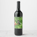 Search for hummingbird wine labels Wildlife
