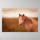 Search for white horse running posters Vintage