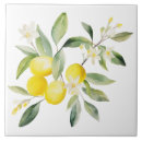 Search for beach tiles Mediterranean