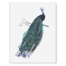 Search for peacock beauty products Colorful