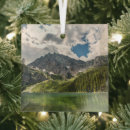 Search for montana ornaments Forest