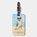 Search for bull terrier gifts Pitbull