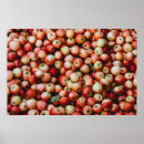 Search for gala posters Vintage