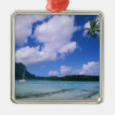 Search for tahiti ornaments Beach