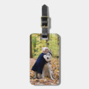 Search for pet travel accessories Photography