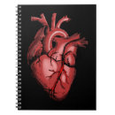 Search for medical notebooks Anatomy