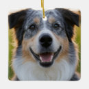 Search for dog breed ornaments Pet