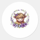 Search for scottish highland cow stickers Moo