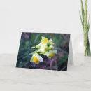 Search for russian birthday cards Flowers