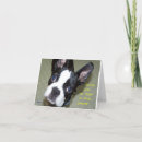 Search for boston terrier birthday Pets