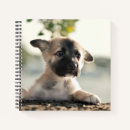 Search for german shepherd notebooks Outdoors