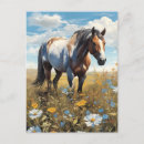 Search for horse postcards Flowers