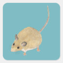 Search for mouse stickers Watercolor