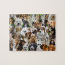 Search for dog breeds puzzles Collage