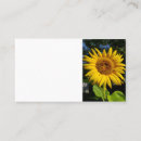 Search for sunflower business cards Fall