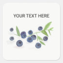 Search for blueberry fruit stickers Blueberries