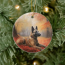 Search for belgian malinois ornaments Pet