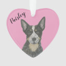 Search for australian cattle dog ornaments Heeler