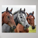 Search for grey brown art Horses