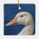 Search for canadian ornaments Waterfowl