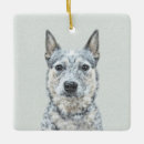 Search for blue heeler ornaments Acd