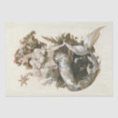 Search for mermaid tissue paper Marine