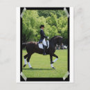 Search for dressage rider horseback riding